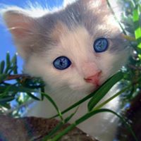 Fred Turner Photo 16