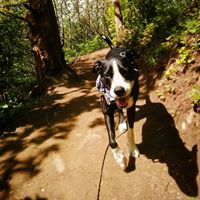 Janette Boyer Photo 4