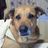 Emma Knowlton Photo 3