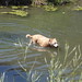 Wade Murray Photo 36