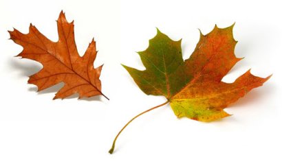 Helen Hunter Photo 28