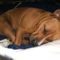 Amanda Human Photo 16