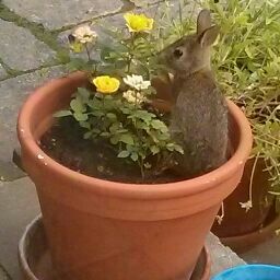 Stephanie Rayner Photo 19