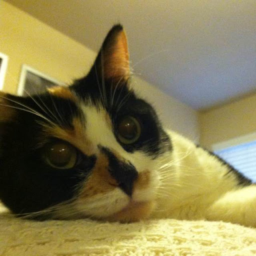 Ann Gallagher Photo 13