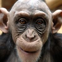 Andy Richardson Photo 24