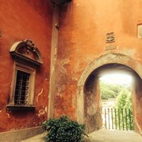 Barbara Cronin Photo 16