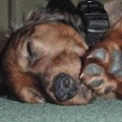 Teresa Shanklin Photo 1