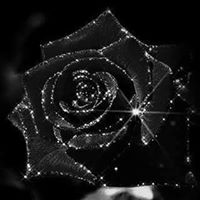 Carolyn Webber Photo 1