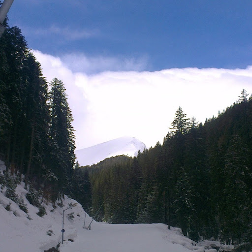 Edward Read Photo 33 Edward Read Photo 33