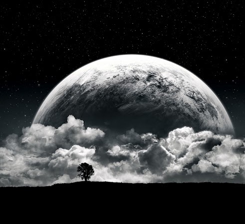 Adam Doyle Photo 39