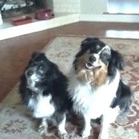 Beverly Mccarthy Photo 35