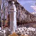 Paul Nash Photo 29
