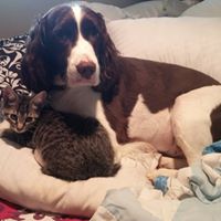 Elizabeth Grimes Photo 21