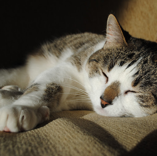 Lee Nichols Photo 32