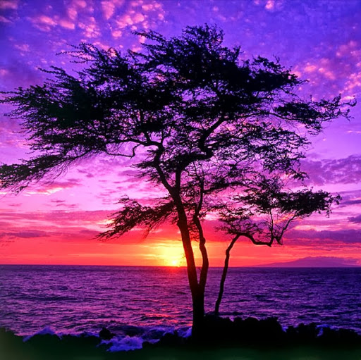 Julie Bergeron Photo 16