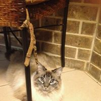 Janet Monaghan Photo 7