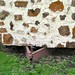John Harris Photo 12