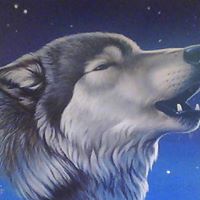 Beverly Walling Photo 4