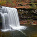 Glen Harrison Photo 12