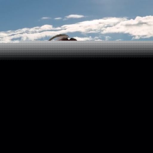 Jackson Simon Photo 14