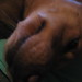 Janie Morris Photo 20
