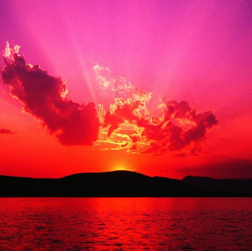 Maria Magee Photo 22