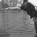 Annemarie Gray Photo 15