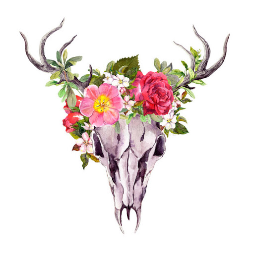 Candace Robinson Photo 27