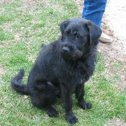 Janice Garrett Photo 4