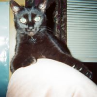 Michelle Sizemore Photo 6