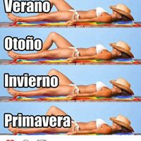 Deborah Battaglia Photo 7