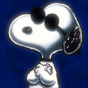 William Schaefer Photo 46