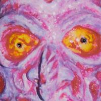 Steven Meadows Photo 11