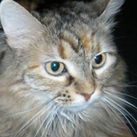 Kelly Nickell Photo 11