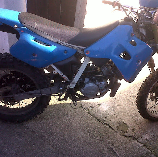 Shaun Willis Photo 11