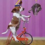 Amanda Walsh Photo 30 Amanda Walsh Photo 30