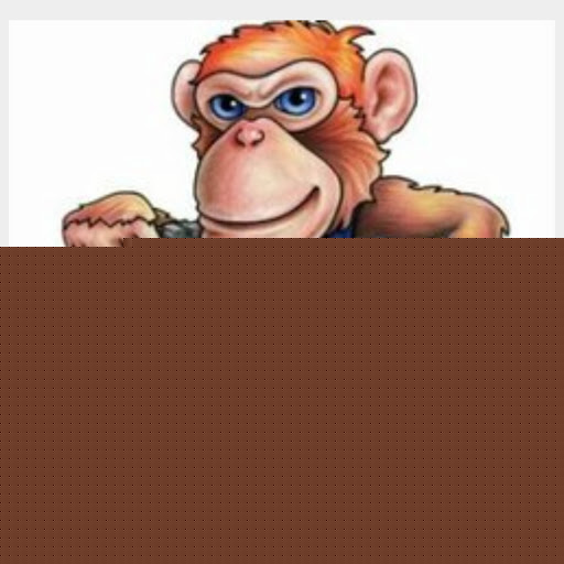 Todd Compton Photo 8