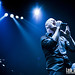 Shawn Stone Photo 12