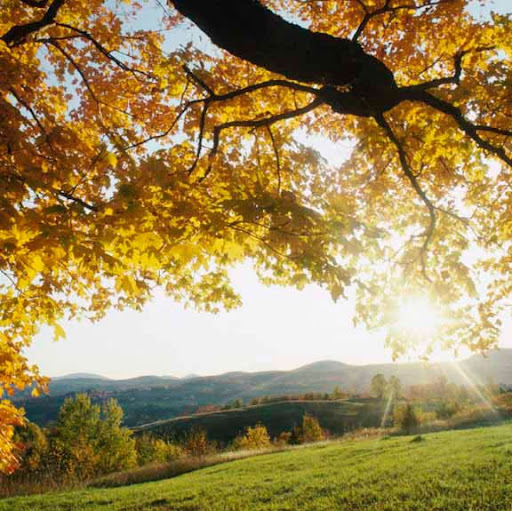 James Michaels Photo 18