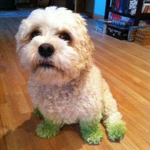 Huyen Duong Photo 11