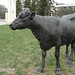 Regina Potter Photo 19