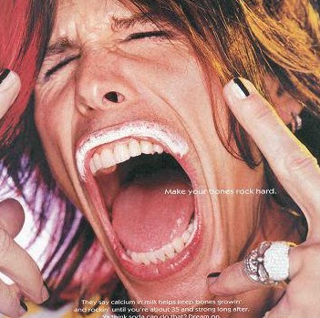 Steven Tyler Photo 30