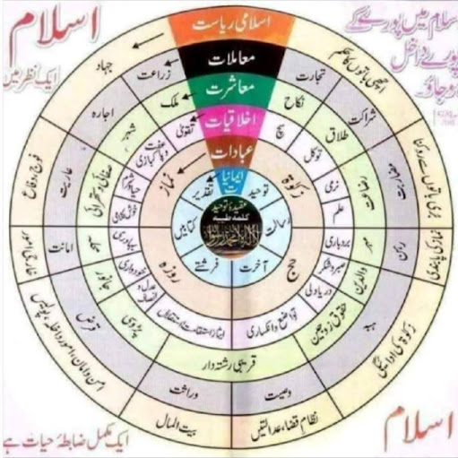 Sameer Mohammed Photo 19