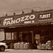 John Panozzo Photo 14