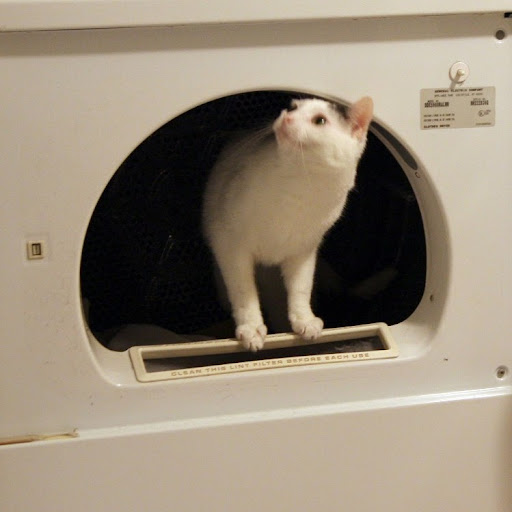 Feng Guo Photo 34 Feng Guo Photo 34