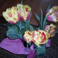 Janet Findlay Photo 23