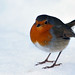 Robin Slater Photo 14