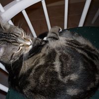 Kathleen Mercer Photo 17