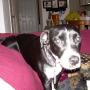 John Vann Photo 33