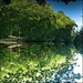 Don Waggoner Photo 16